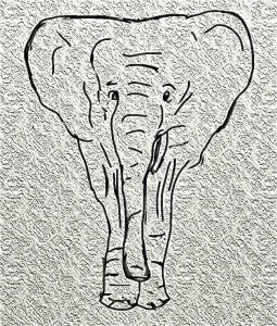 funkyelephant